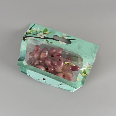 Custom Design Food Grade Plastic Anti-fog Pouch Transparent Fresh Vegetable Fruit Storage Packaging Bag with Zipper Handle